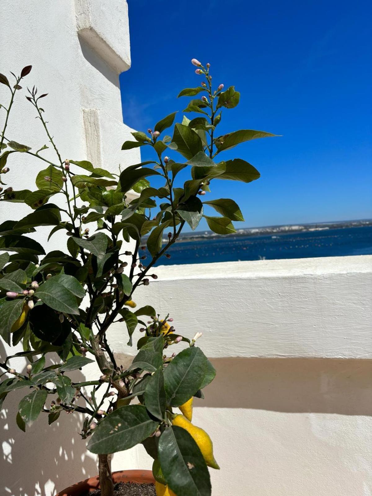 Il Palazzino Appartement Tarente Buitenkant foto